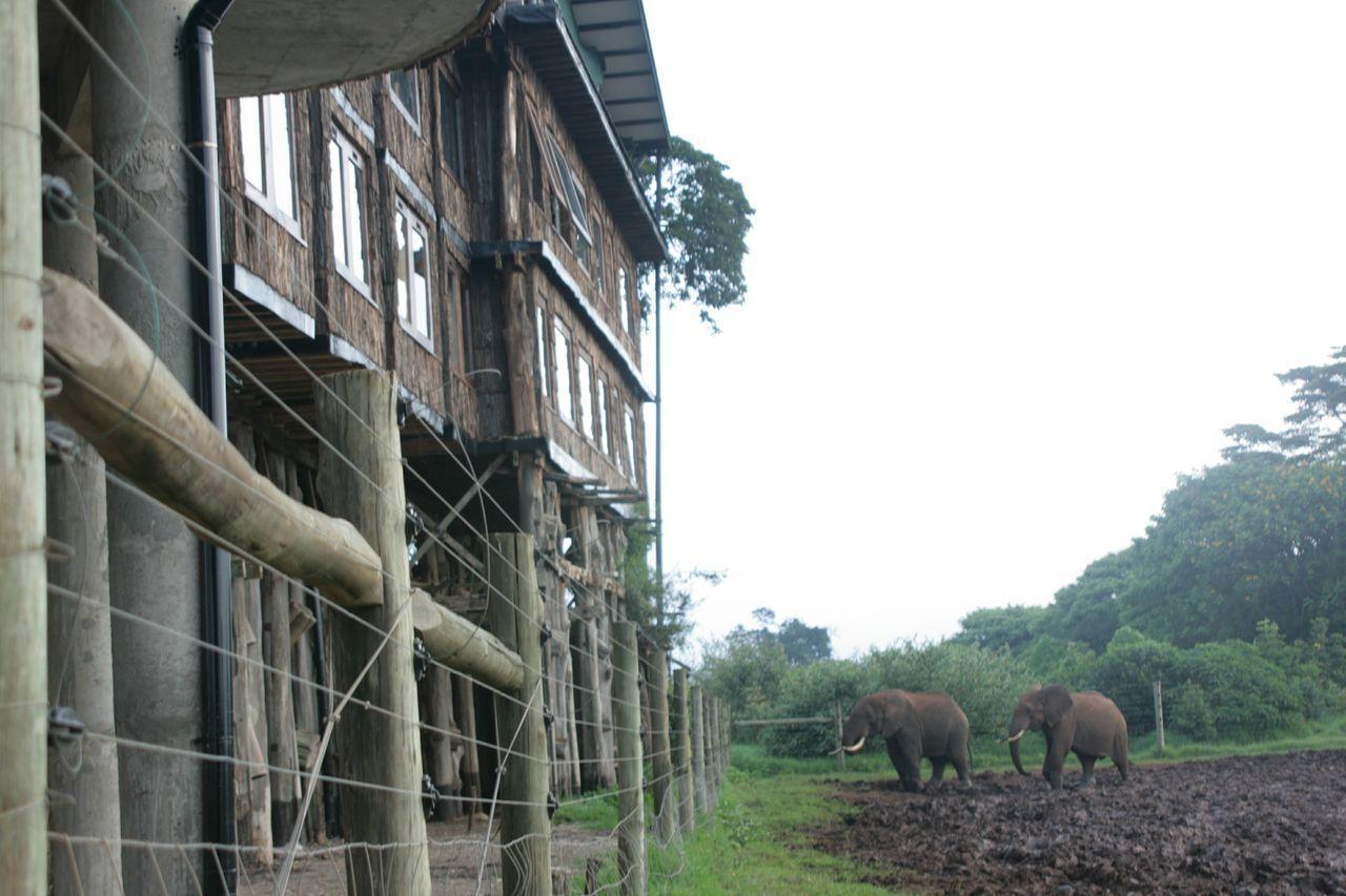 Treetops Mweiga Exteriör bild