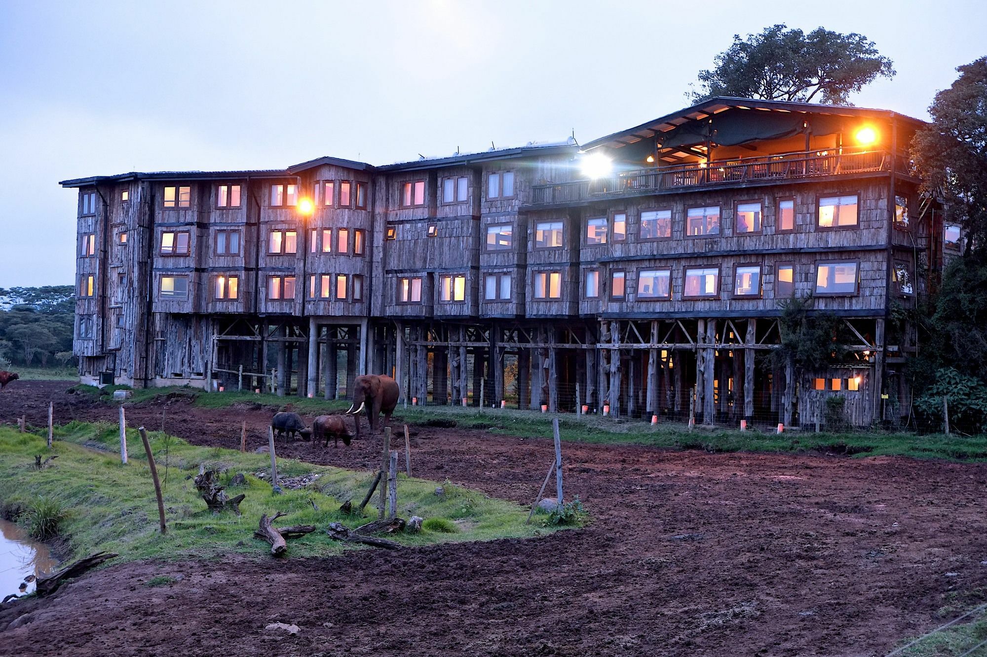 Treetops Mweiga Exteriör bild